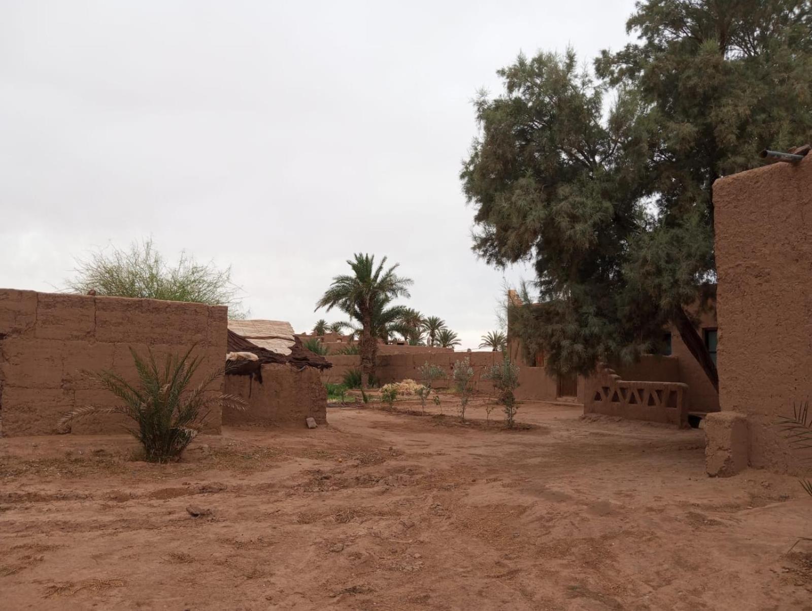 La Maison-Berbere Mhamid Exterior foto