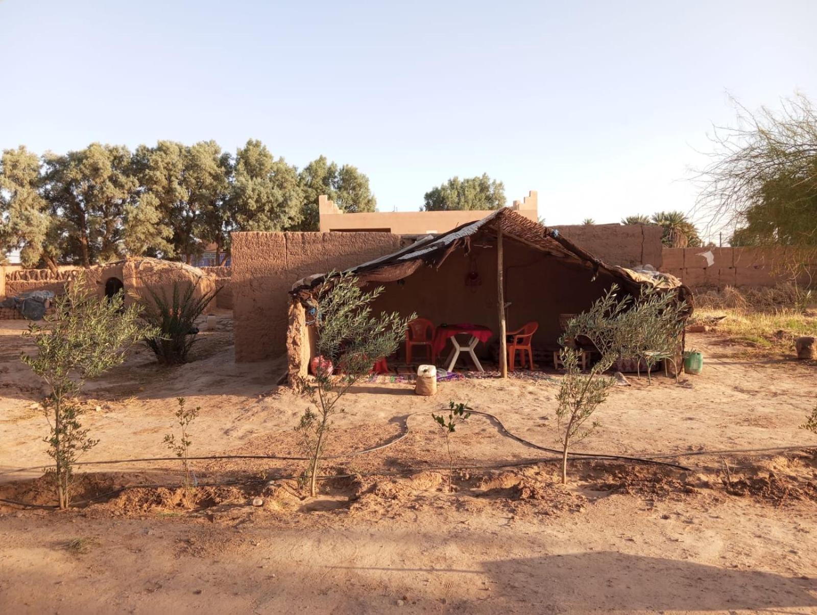 La Maison-Berbere Mhamid Exterior foto
